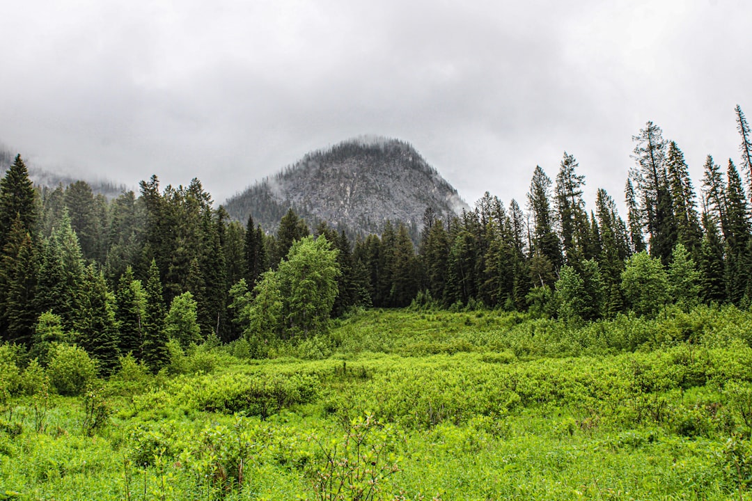 Photo Field mapping